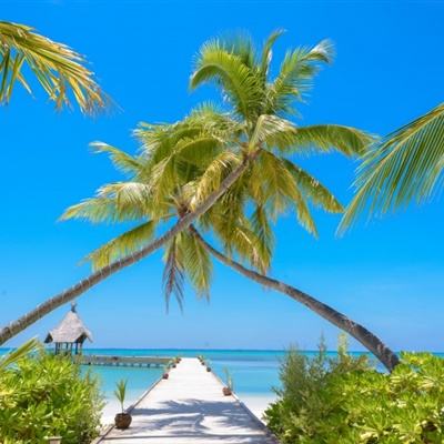 亚新手机版官方登录网站