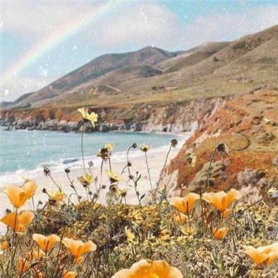 万博ManBetX手机下载