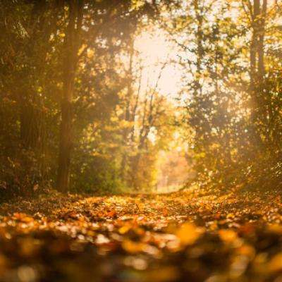 bat365官网登录入口