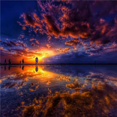 b体育官方体育app截图